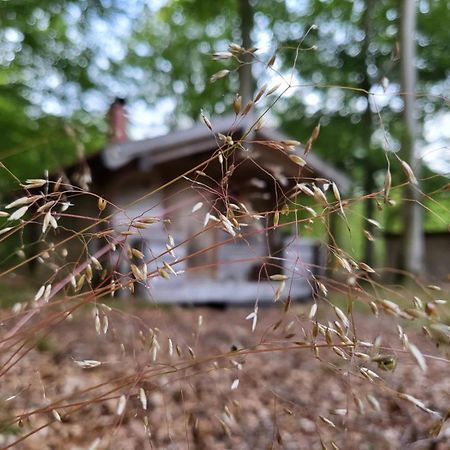 Bjaernhultsgardens Stugor Linderod Zewnętrze zdjęcie