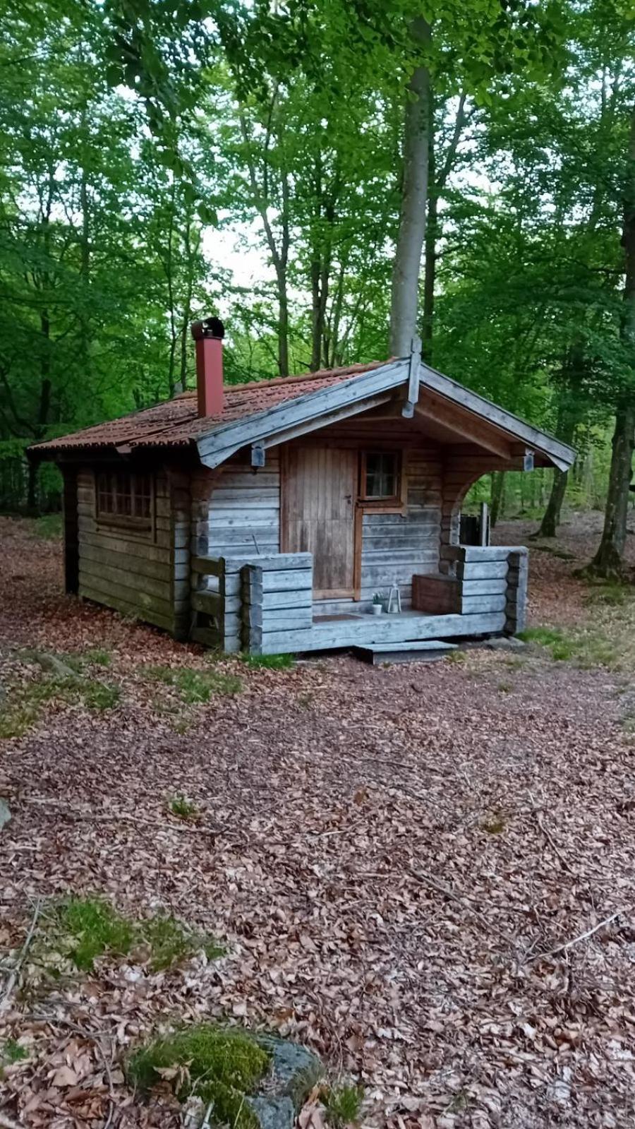 Bjaernhultsgardens Stugor Linderod Zewnętrze zdjęcie