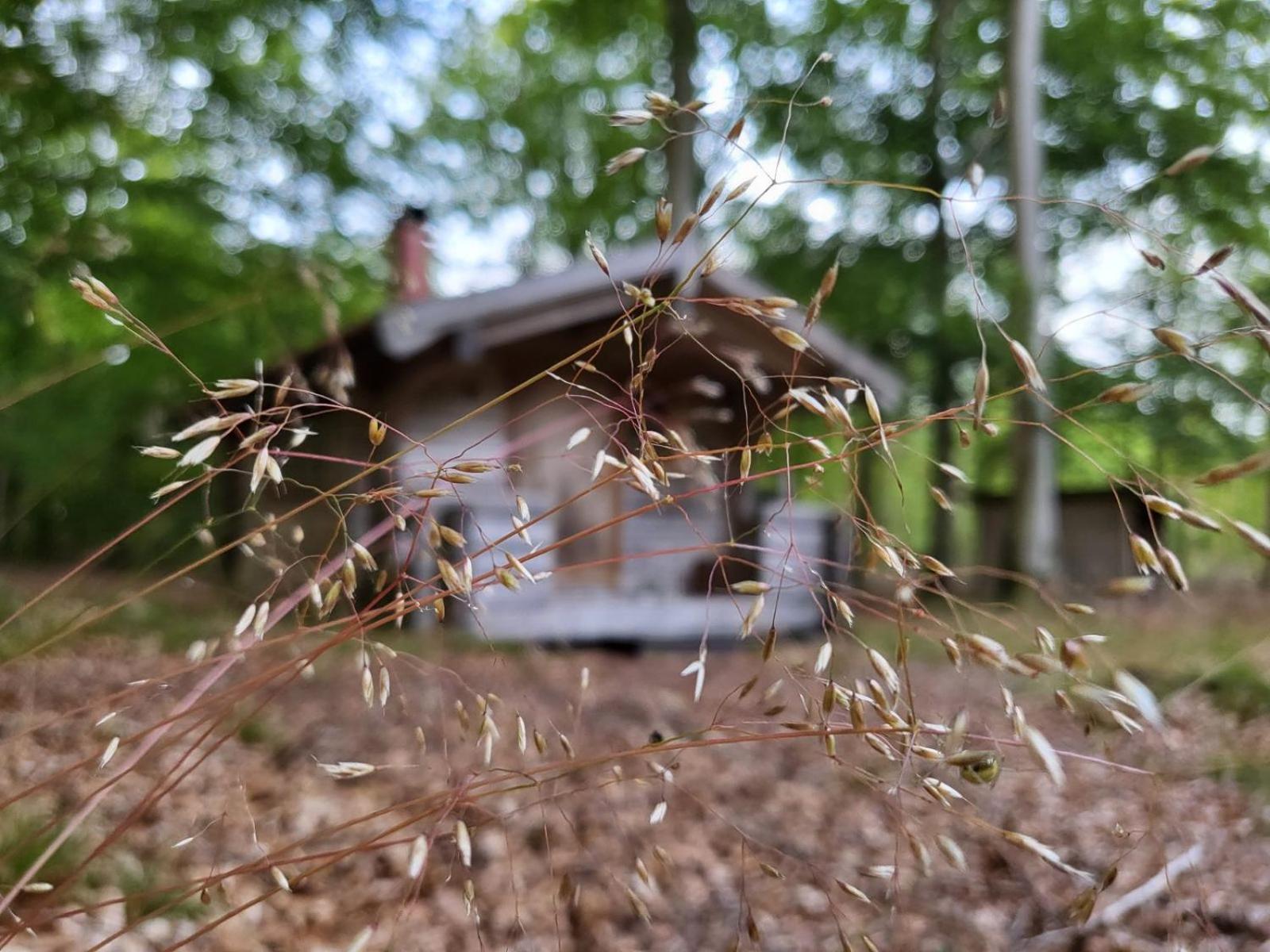 Bjaernhultsgardens Stugor Linderod Zewnętrze zdjęcie