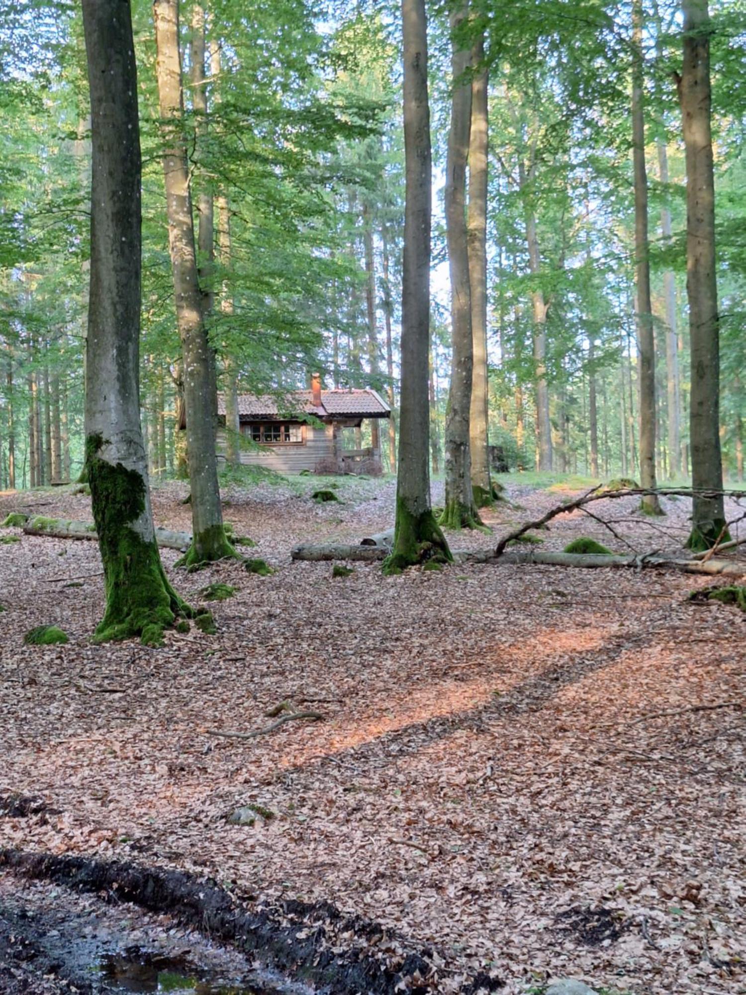 Bjaernhultsgardens Stugor Linderod Zewnętrze zdjęcie